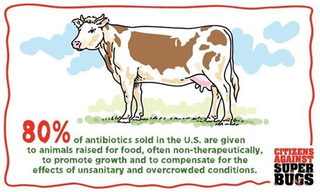 Organic foods are the only healthy way to eat. Vegan is even better! 