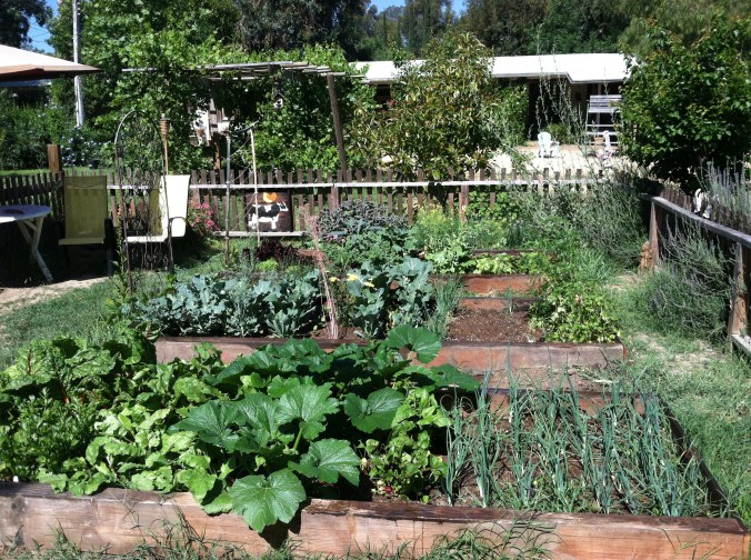 The Organic Garden